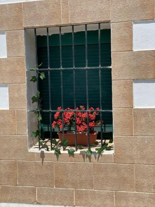 El Rincon Del Rey Appartement Torrejon del Rey Buitenkant foto